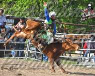 Rodeo 5